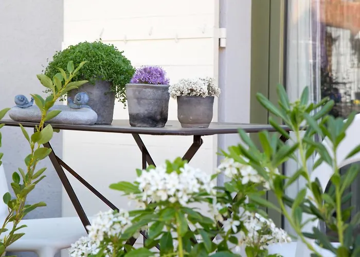 D'hotes Arima ゲストハウス ビアリッツ